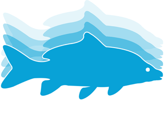 Fish Tracker Fishing Guide Services Ireland